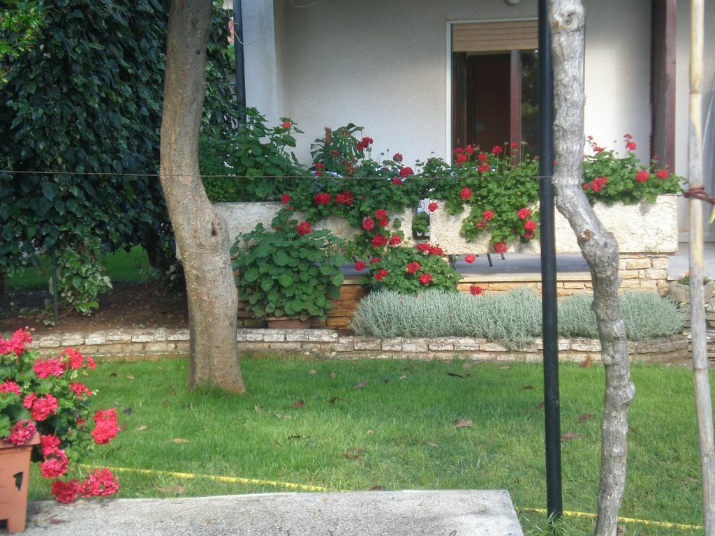 Apartment Ms بولا المظهر الخارجي الصورة